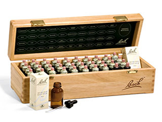 Bach Flower Remedy Therapy